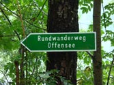 Rundwanderweg - Offensee